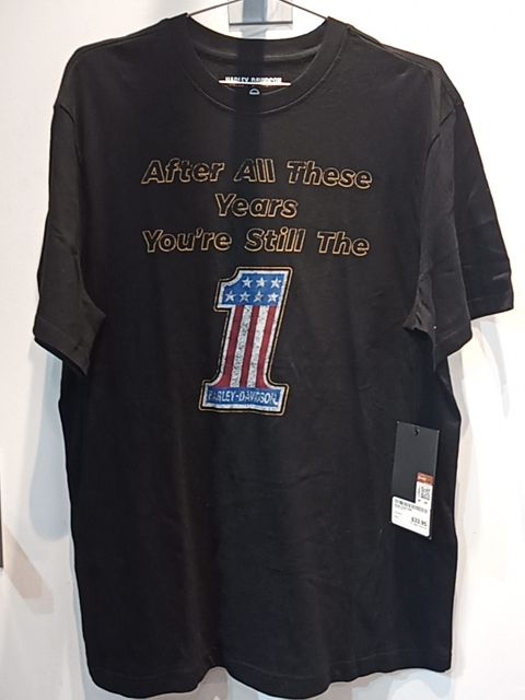 HARLEY DAVIDSON T Shirt Textile SHIRT, LRG