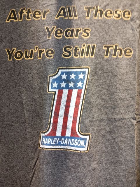 HARLEY DAVIDSON T Shirt Textile SHIRT, XXL