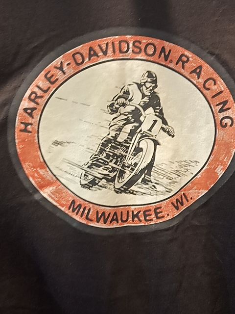 HARLEY DAVIDSON T Shirt Textile SHIRT, LRG