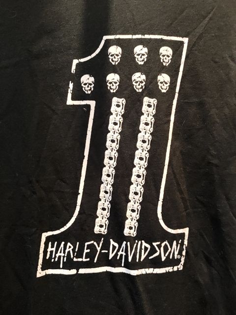 HARLEY DAVIDSON T Shirt Textile SHIRT, LRG