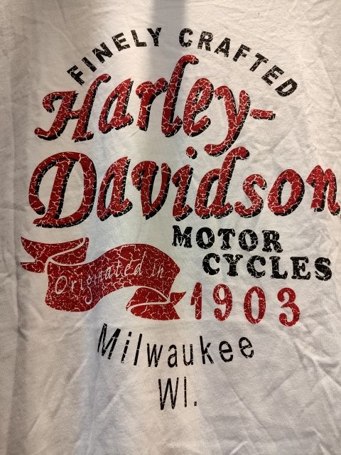 HARLEY DAVIDSON T Shirt Textile SHIRT, XXL