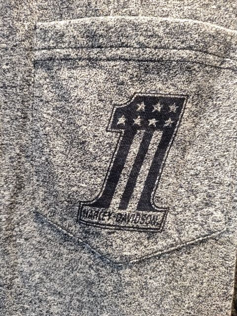 HARLEY DAVIDSON T Shirt Textile SHIRT, LRG
