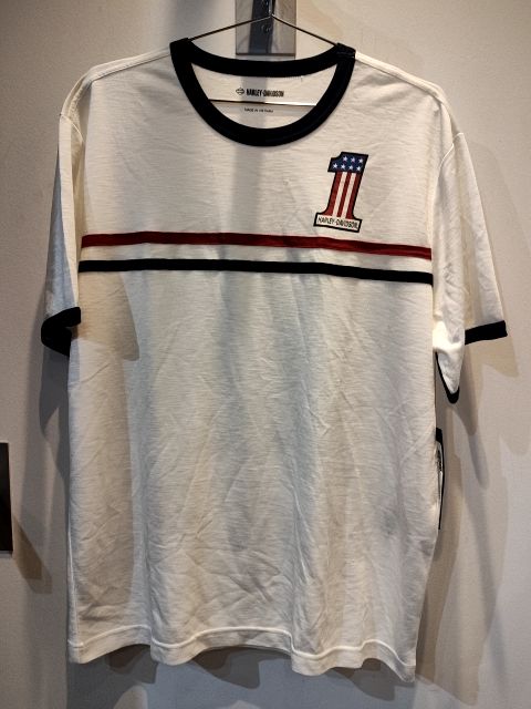 HARLEY DAVIDSON T Shirt Textile SHIRT, LRG