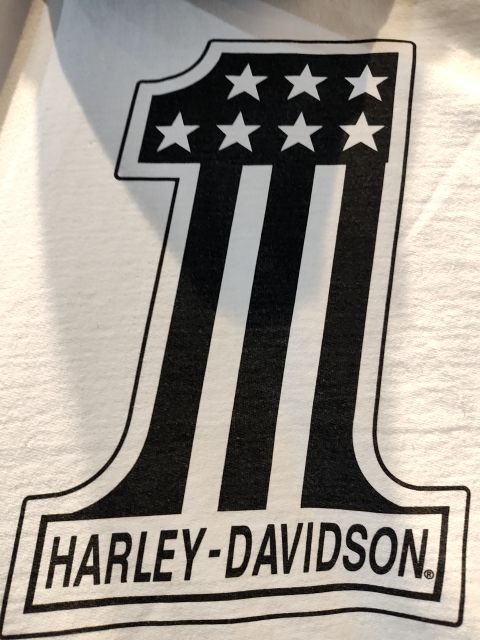 HARLEY DAVIDSON SWEATER Textile HOODIE, XL