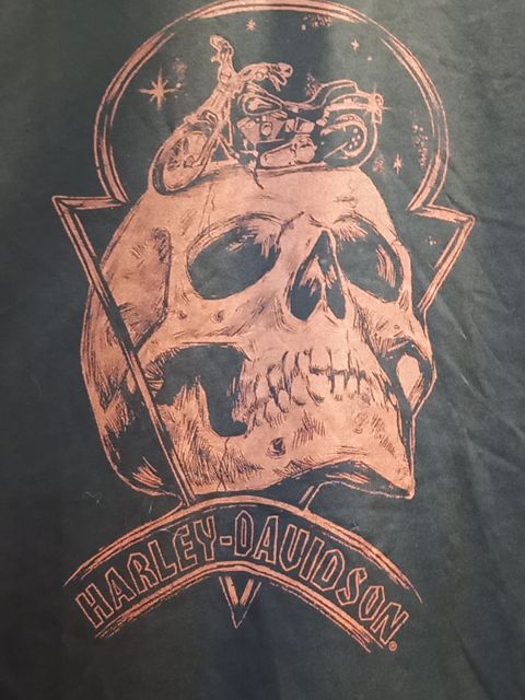 HARLEY DAVIDSON T Shirt Textile SHIRT, LRG