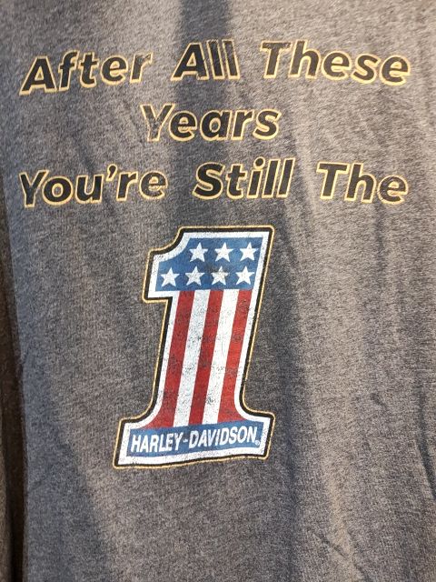 HARLEY DAVIDSON T Shirt Textile SHIRT, XXL