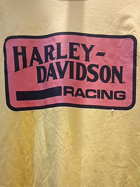 HARLEY DAVIDSON T Shirt Textile SHIRT, XL