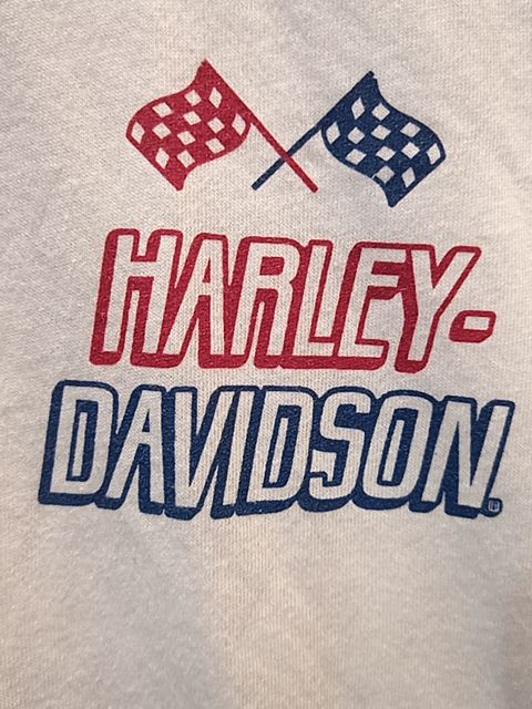 HARLEY DAVIDSON T Shirt Textile SHIRT, LRG