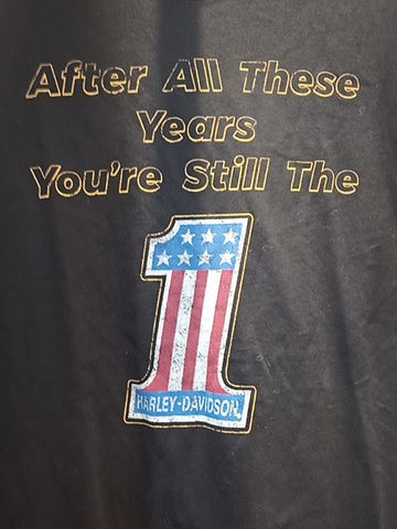 HARLEY DAVIDSON T Shirt Textile SHIRT, LRG