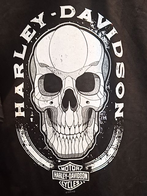 HARLEY DAVIDSON T Shirt Textile SHIRT, LRG