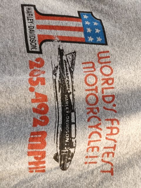 HARLEY DAVIDSON T Shirt Textile SHIRT, XL