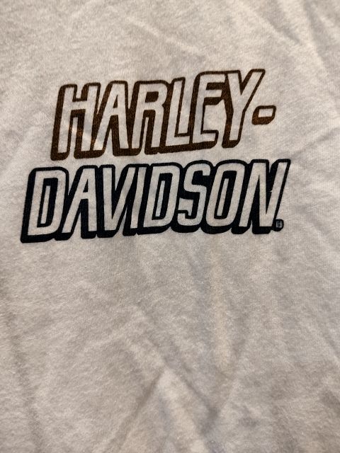 HARLEY DAVIDSON T Shirt Textile SHIRT, XXL