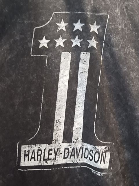 HARLEY DAVIDSON T Shirt Textile SHIRT, LRG
