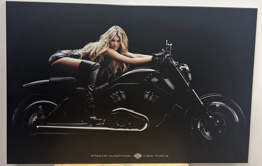 HARLEY DAVIDSON Wooden Print