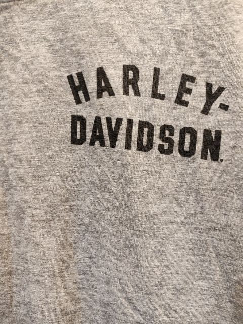 HARLEY DAVIDSON T Shirt Textile SHIRT, LRG