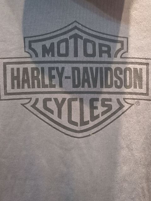 HARLEY DAVIDSON Turtleneck Textile SHIRT, LRG