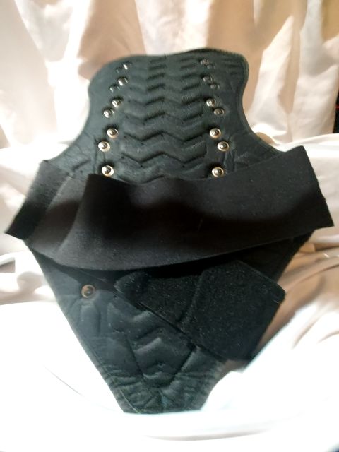 TEKNIC SPINE PROTECTOR Mixed Material ARMOR, LRG