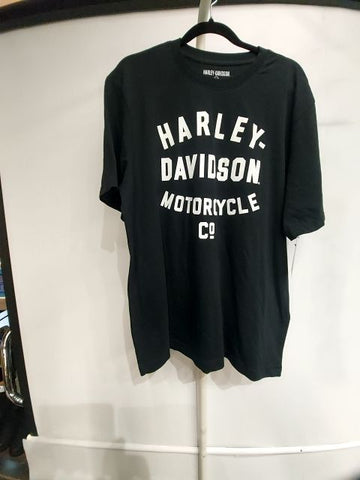 HARLEY DAVIDSON T Shirt Textile SHIRT, LRG