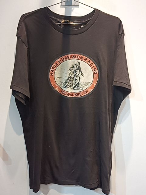 HARLEY DAVIDSON T Shirt Textile SHIRT, LRG
