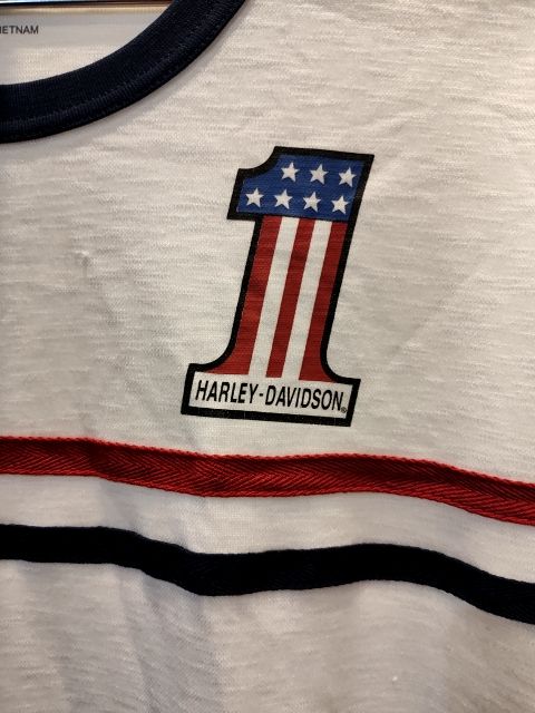 HARLEY DAVIDSON T Shirt Textile SHIRT, LRG