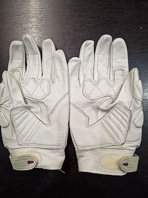 JOE ROCKET Sport Leather GLOVES, LRG