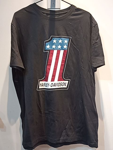 HARLEY DAVIDSON T Shirt Textile SHIRT, LRG