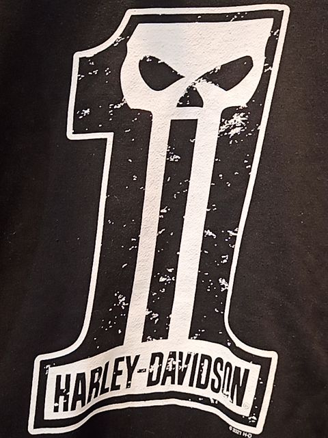 HARLEY DAVIDSON Sweater Textile SHIRT, LRG