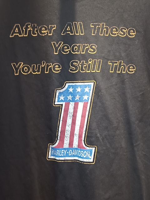 HARLEY DAVIDSON T Shirt Textile SHIRT, LRG